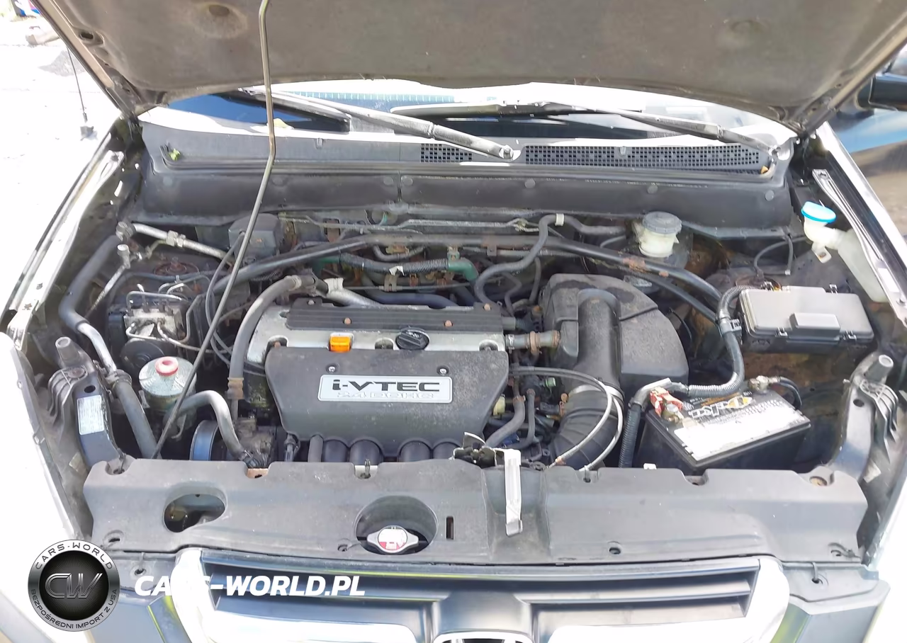 2004 Honda Cr-V Ex VIN:SHSRD78894U220252 - 10