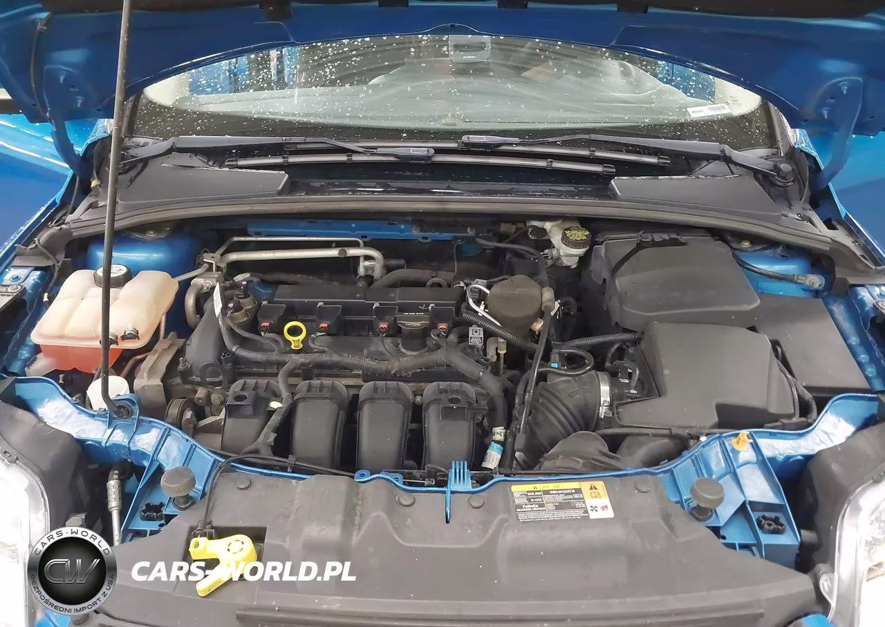 2013 Ford Focus Se VIN:1FADP3F23DL296231 - 10