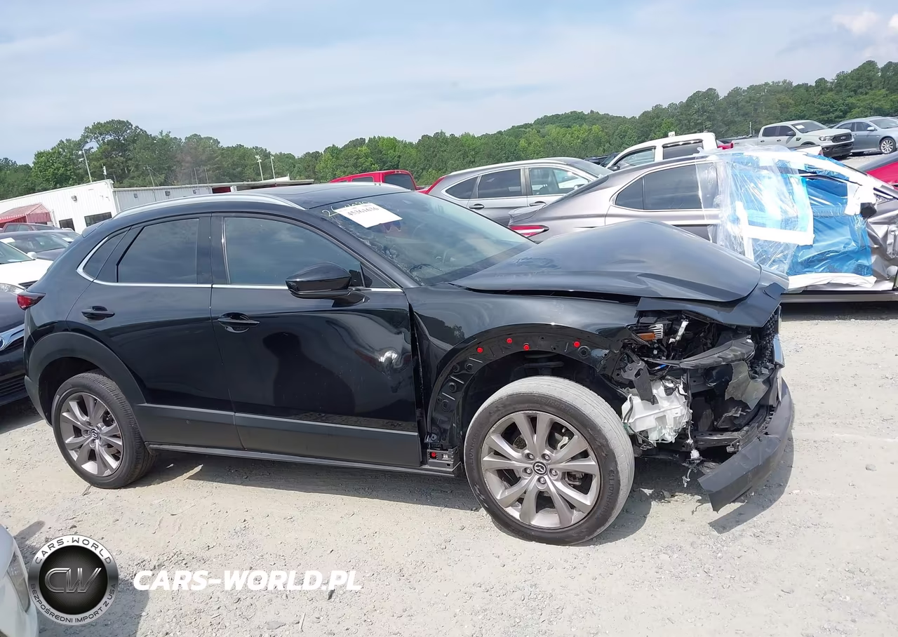 2021 Mazda Cx-30 Premium VIN:3MVDMBDL8MM205248 - 13