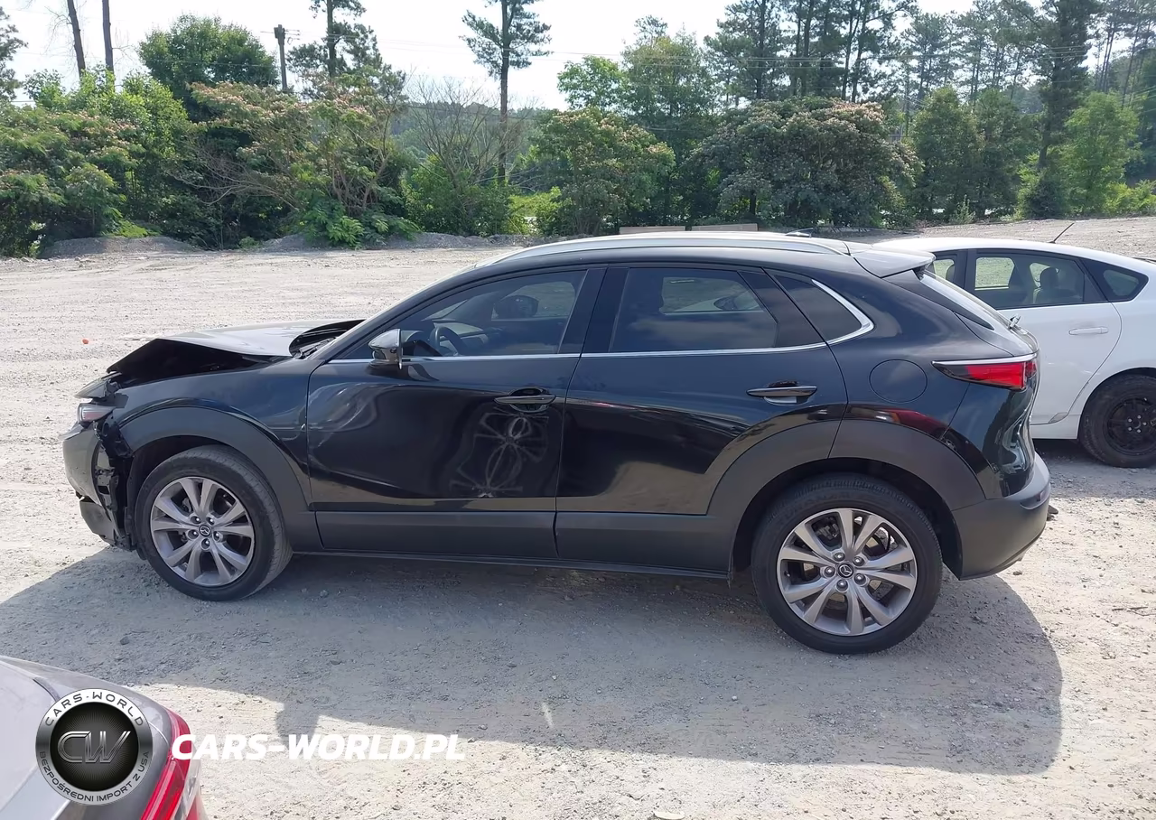 2021 Mazda Cx-30 Premium VIN:3MVDMBDL8MM205248 - 14
