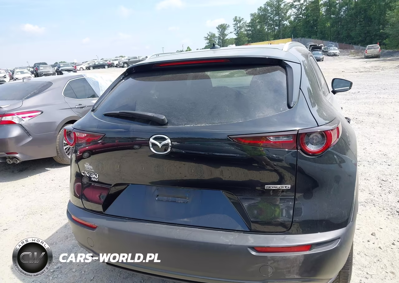 2021 Mazda Cx-30 Premium VIN:3MVDMBDL8MM205248 - 16