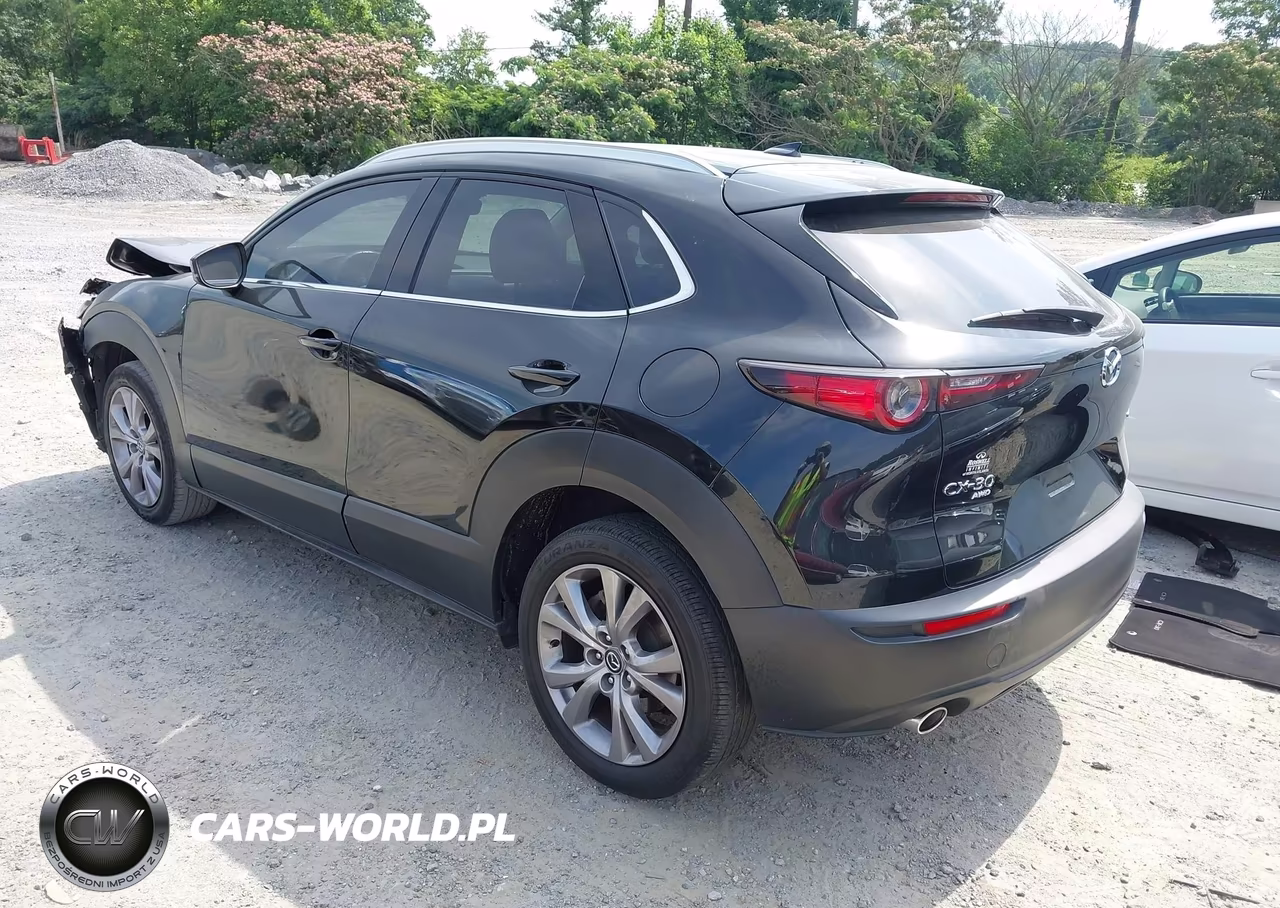 2021 Mazda Cx-30 Premium VIN:3MVDMBDL8MM205248 - 3