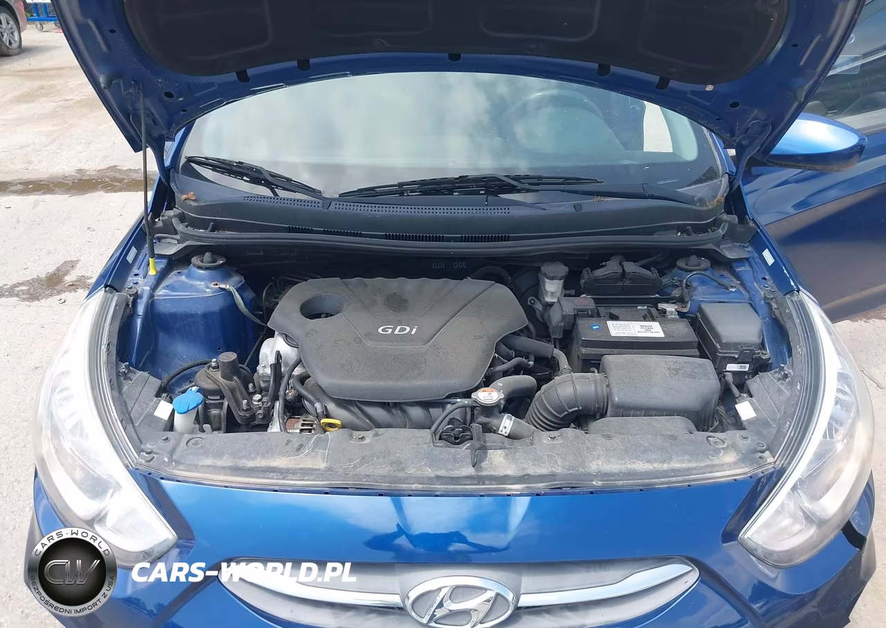 2016 Hyundai Accent Se VIN:KMHCT5AE7GU263306 - 10
