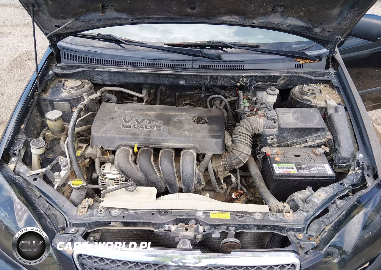 2005 Toyota Corolla Ce-Le VIN:JTDBR32E552065656 - 10