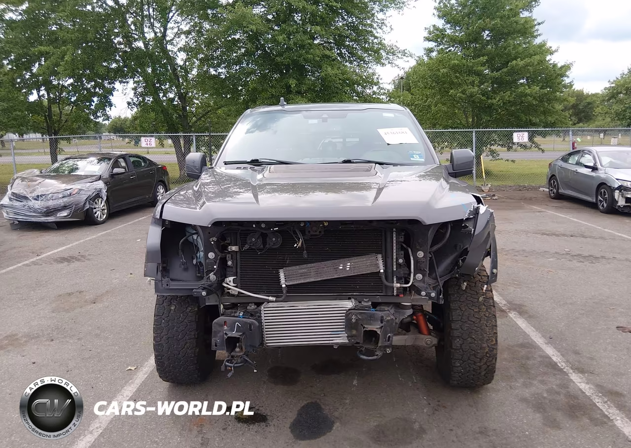 2020 Ford F-150 Raptor VIN:1FTFW1RG1LFA71501 - 13