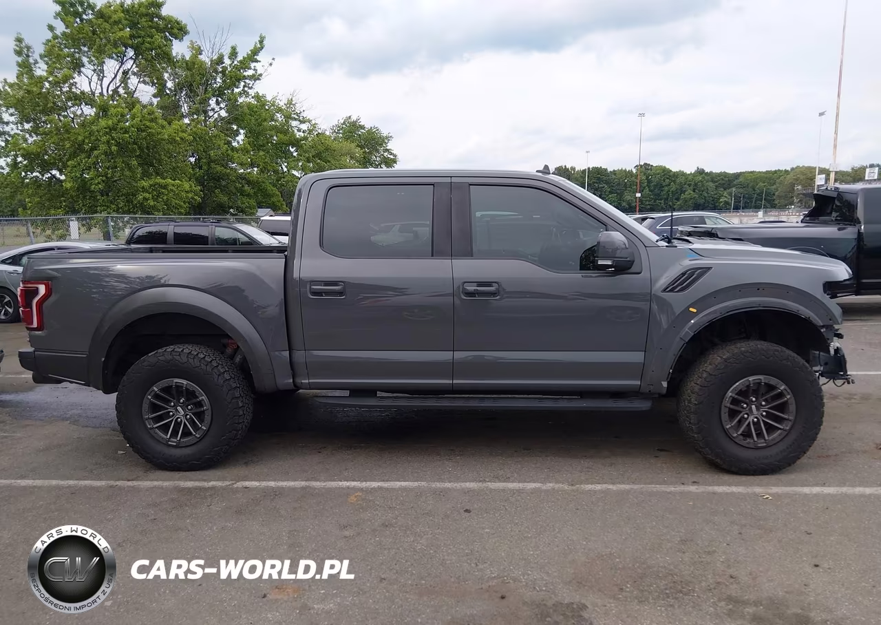 2020 Ford F-150 Raptor VIN:1FTFW1RG1LFA71501 - 14