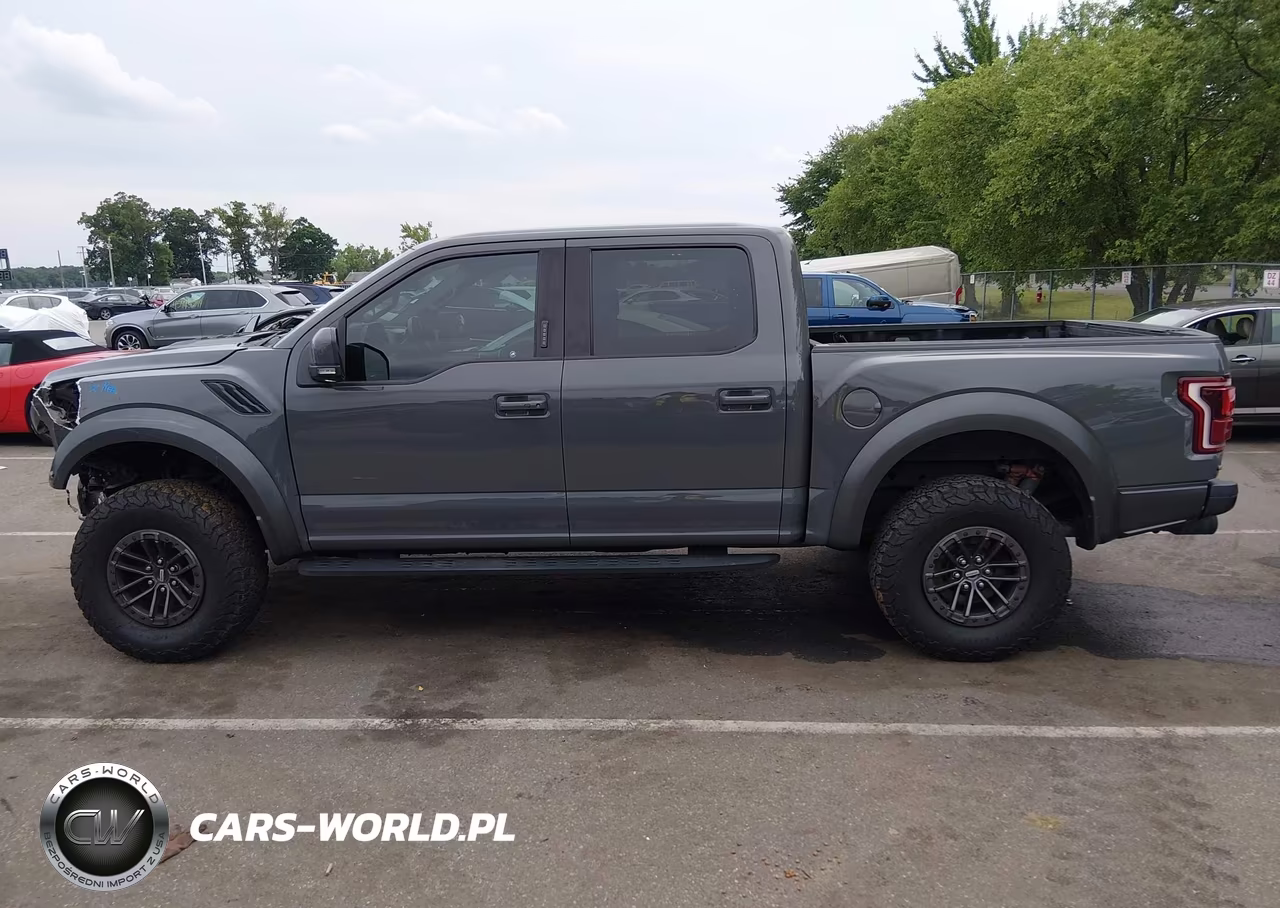 2020 Ford F-150 Raptor VIN:1FTFW1RG1LFA71501 - 15