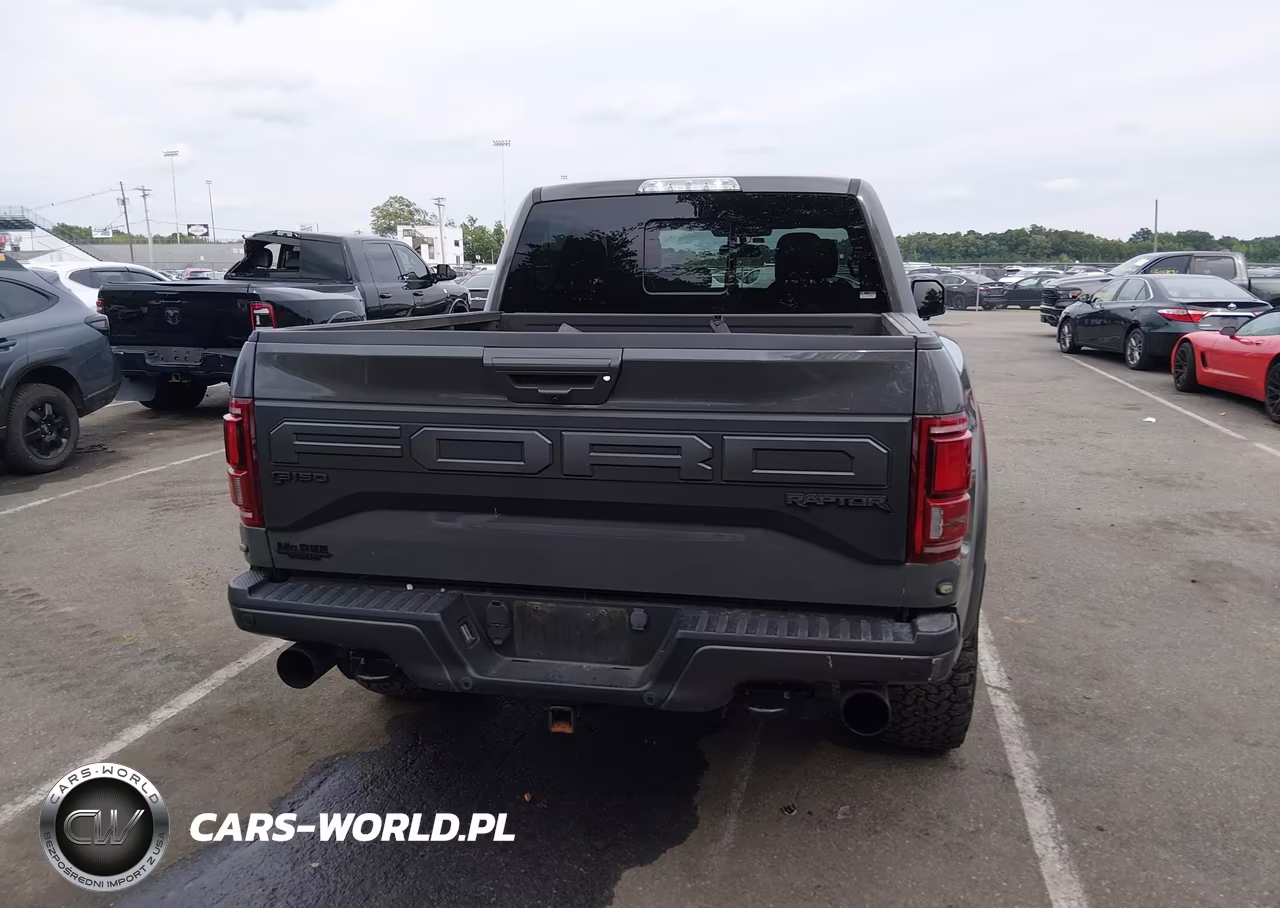 2020 Ford F-150 Raptor VIN:1FTFW1RG1LFA71501 - 17