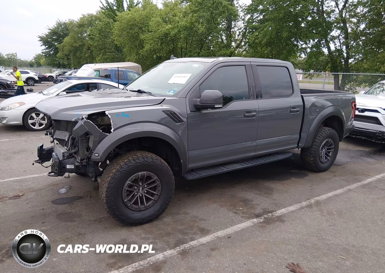 2020 Ford F-150 Raptor VIN:1FTFW1RG1LFA71501 - 2