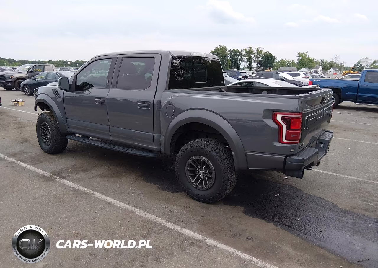 2020 Ford F-150 Raptor VIN:1FTFW1RG1LFA71501 - 3
