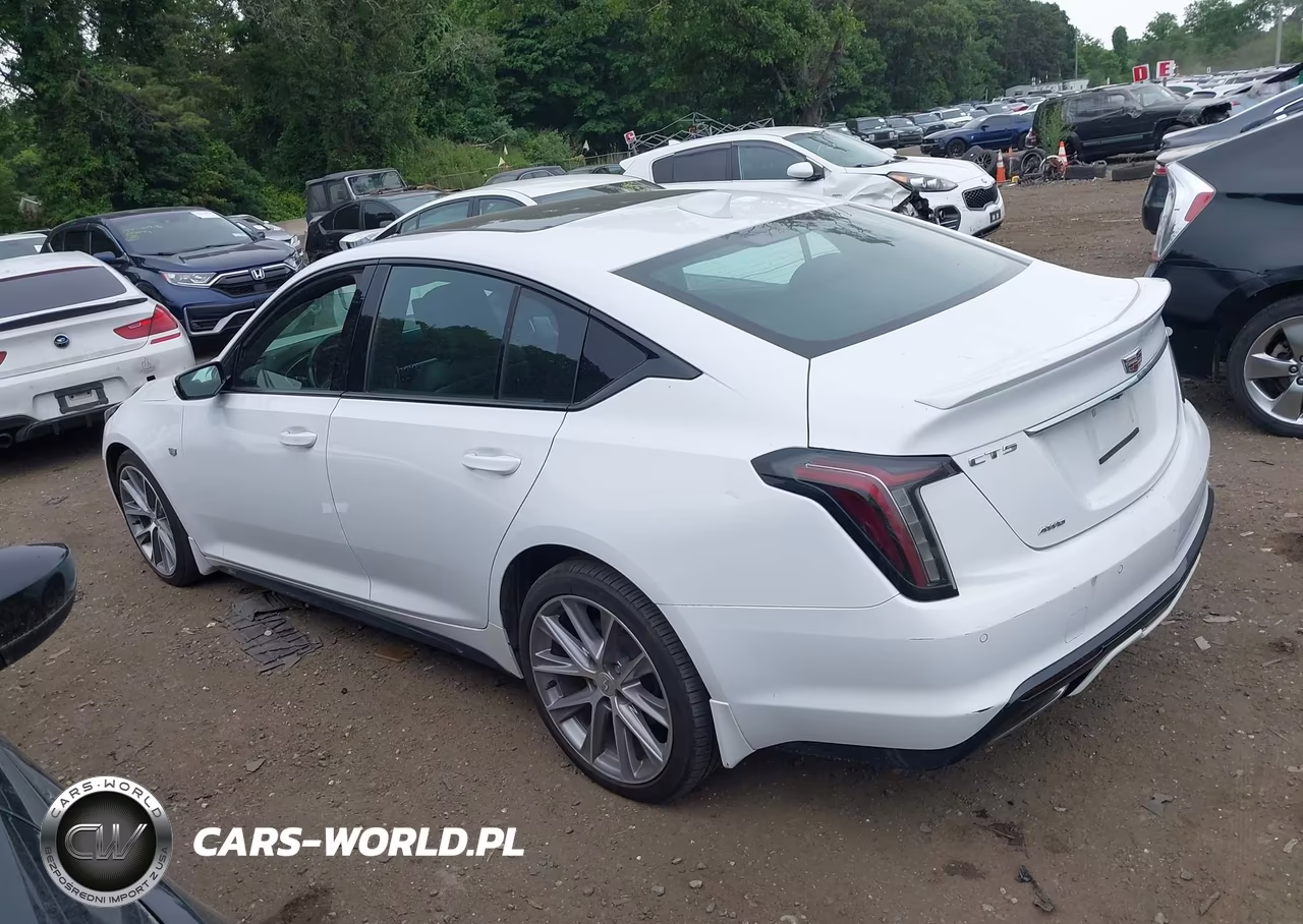 2020 Cadillac Ct5 Sport VIN:1G6DU5RK8L0119333 - 14