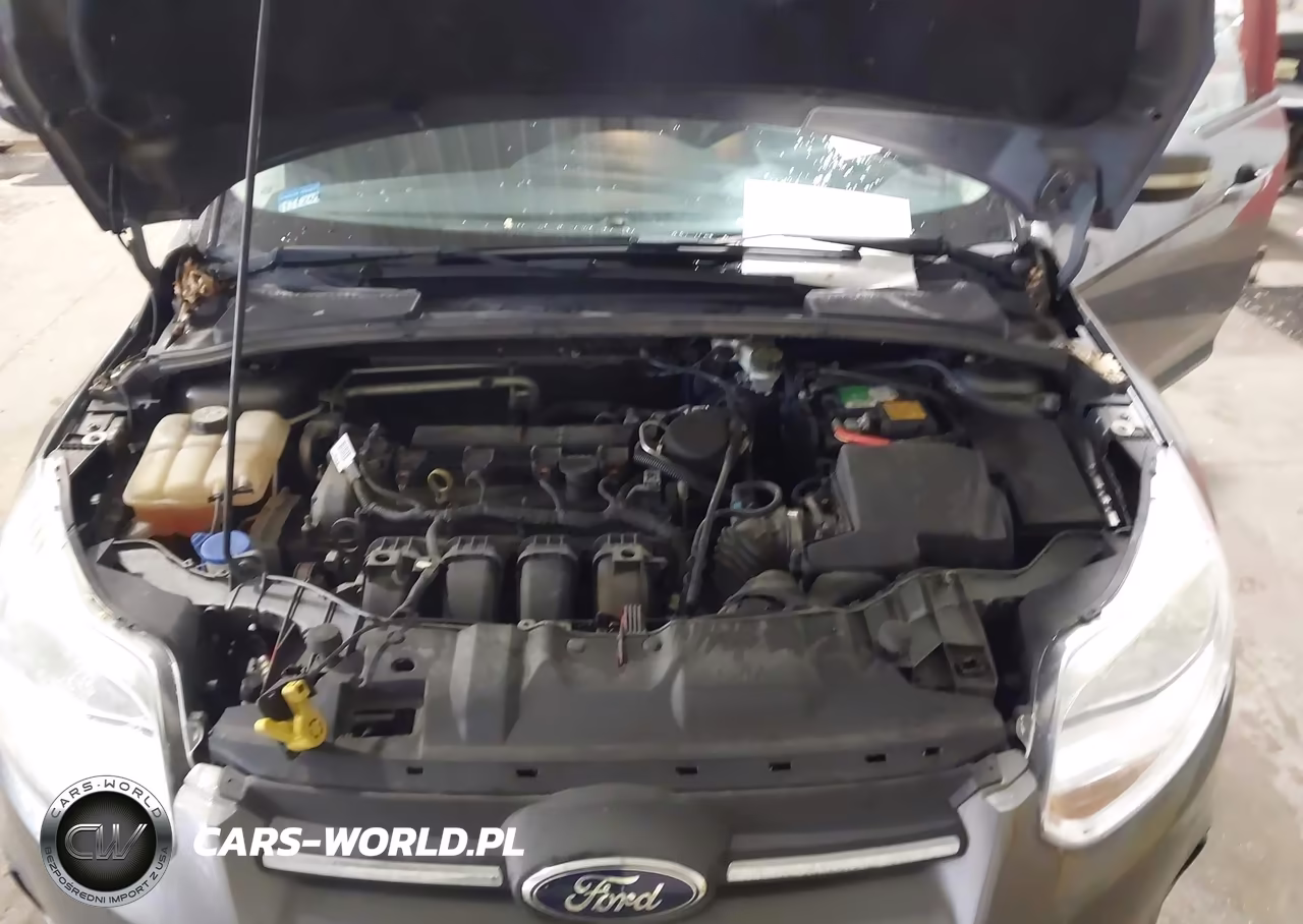 2013 Ford Focus Se VIN:1FADP3F29DL261998 - 10