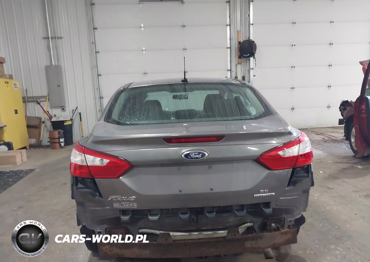 2013 Ford Focus Se VIN:1FADP3F29DL261998 - 17
