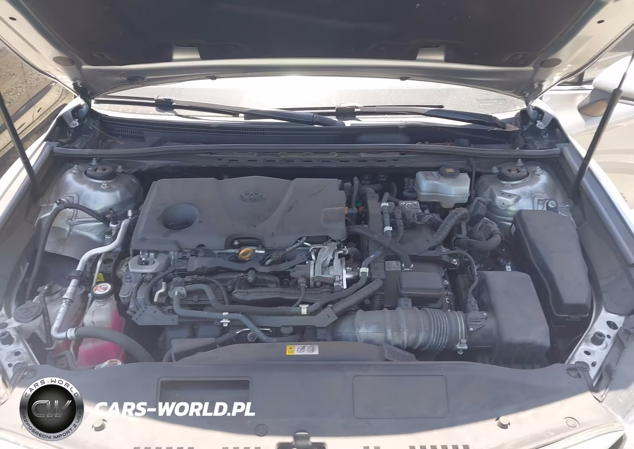 2019 Toyota Camry Hybrid Xle VIN:4T1B21HK5KU521172 - 10
