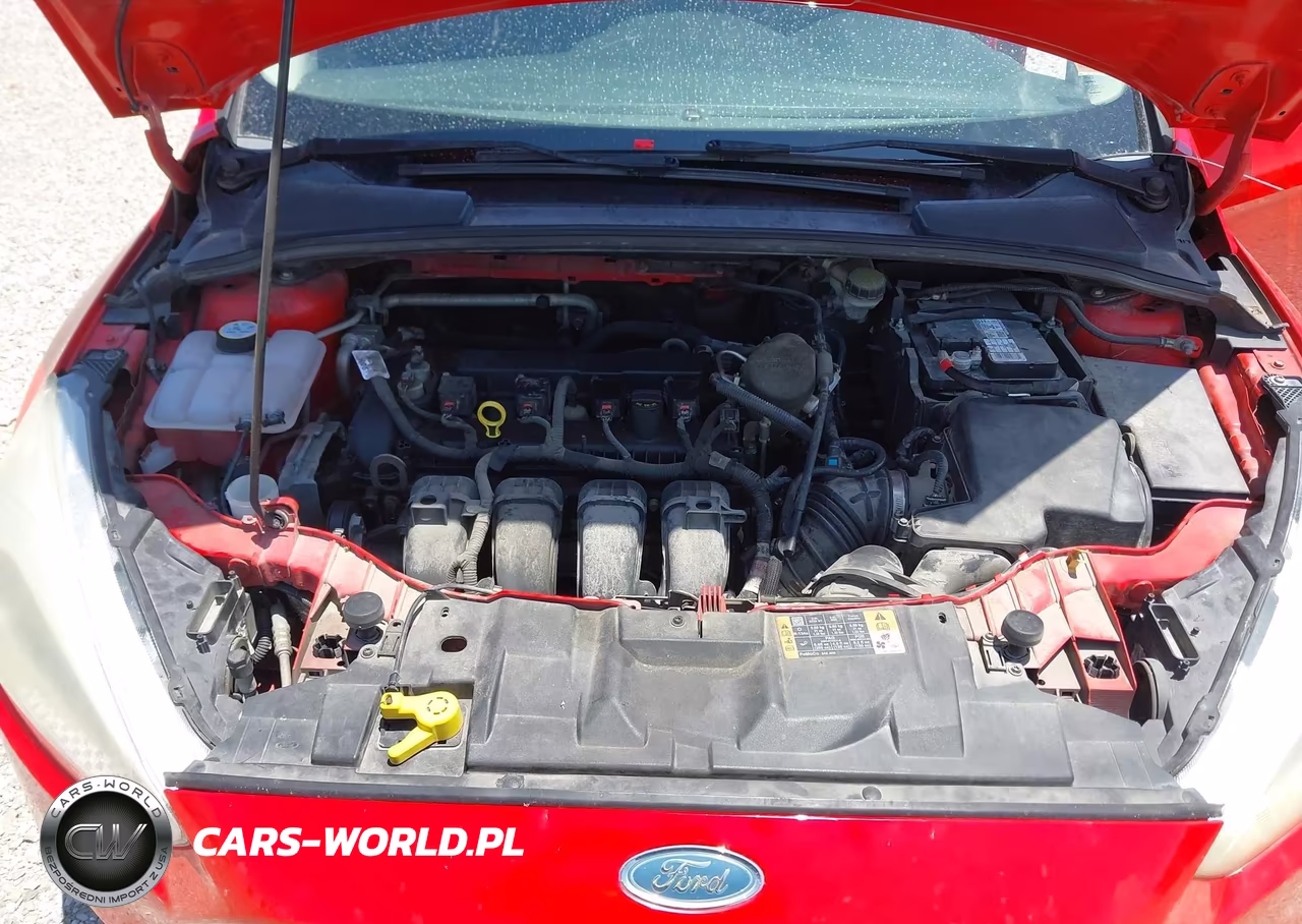 2015 Ford Focus Se VIN:1FADP3F24FL206846 - 10