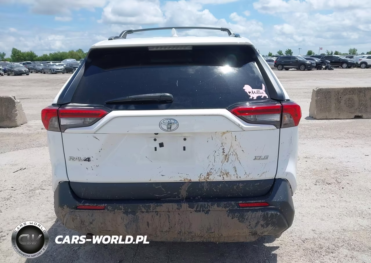 2019 Toyota Rav4 Xle VIN:2T3W1RFV5KC026494 - 16