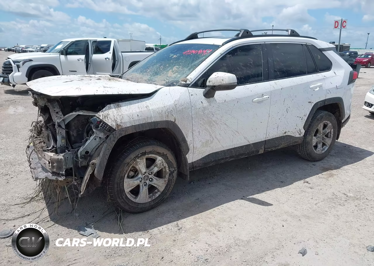 2019 Toyota Rav4 Xle VIN:2T3W1RFV5KC026494 - 2
