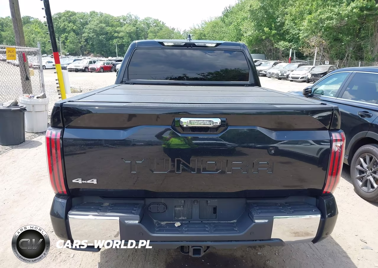 2024 Toyota Tundra 1794 Edition VIN:5TFMA5DB8RX167024 - 16