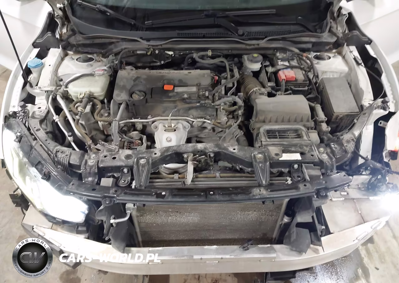 2019 Honda Civic Sport VIN:2HGFC4B89KH304911 - 10