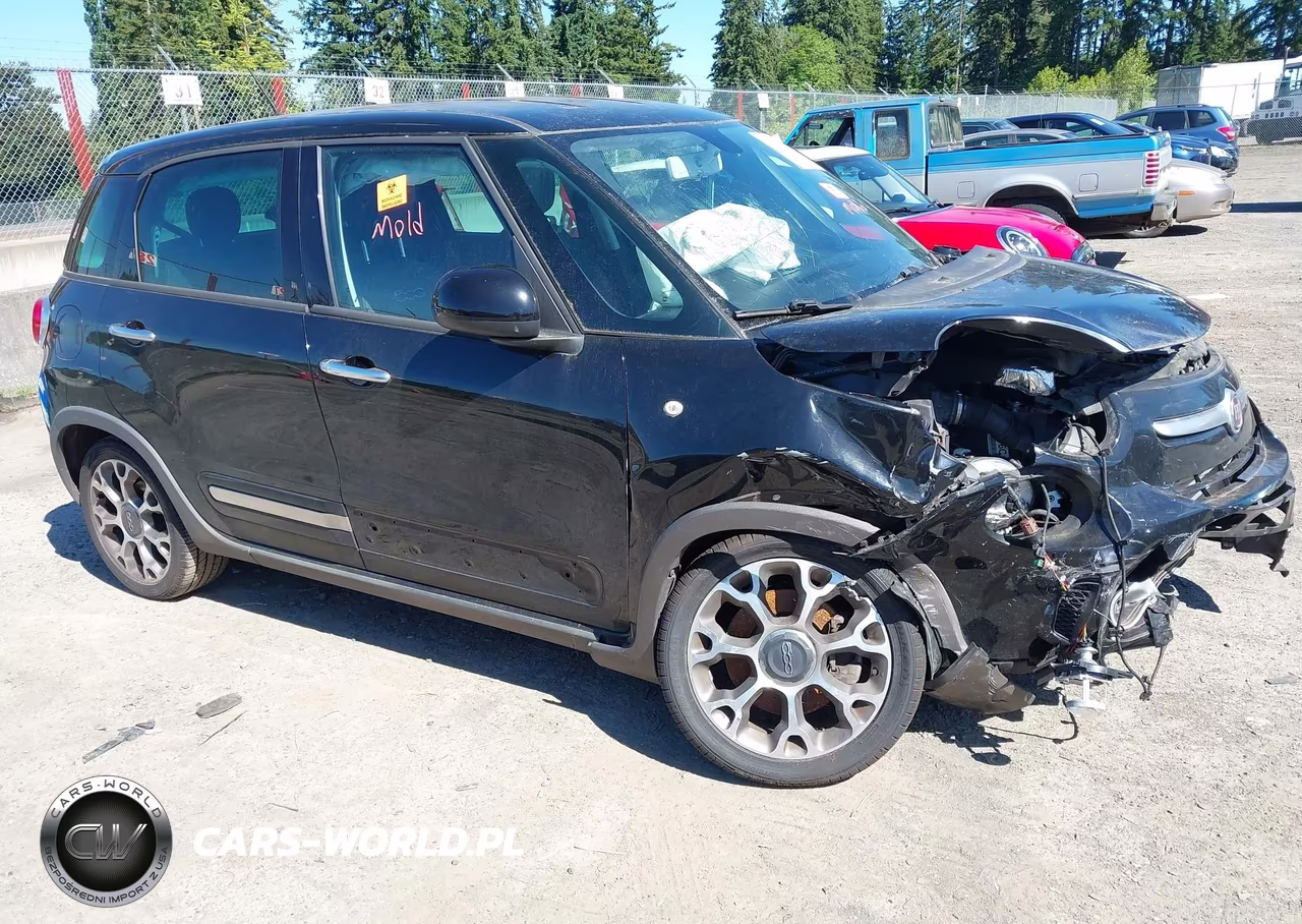 2014 Fiat 500L Trekking