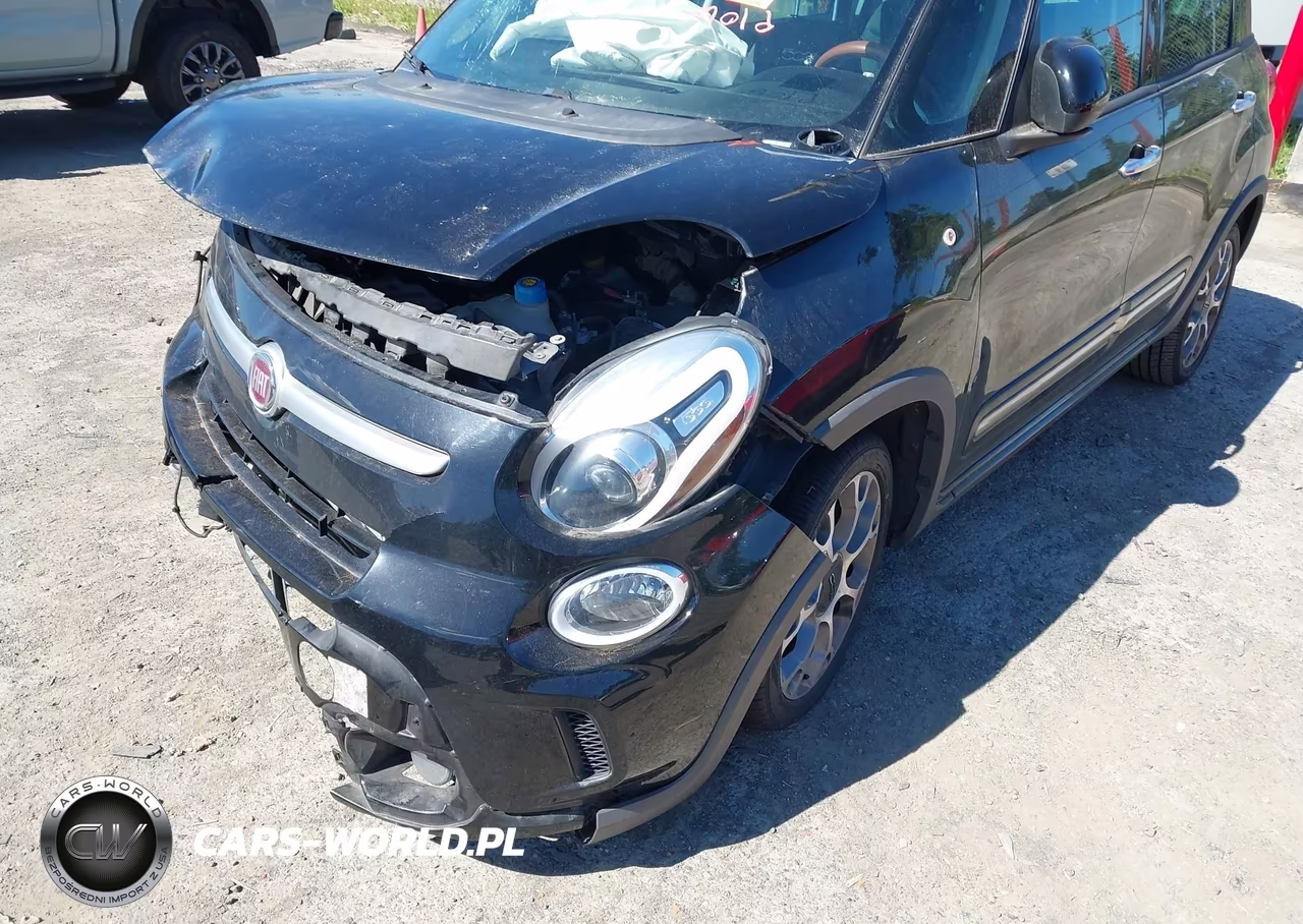 2014 Fiat 500L Trekking VIN:ZFBCFADH0EZ010745 - 13