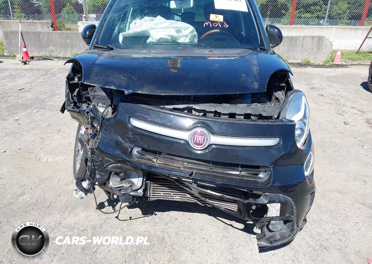 2014 Fiat 500L Trekking VIN:ZFBCFADH0EZ010745 - 6
