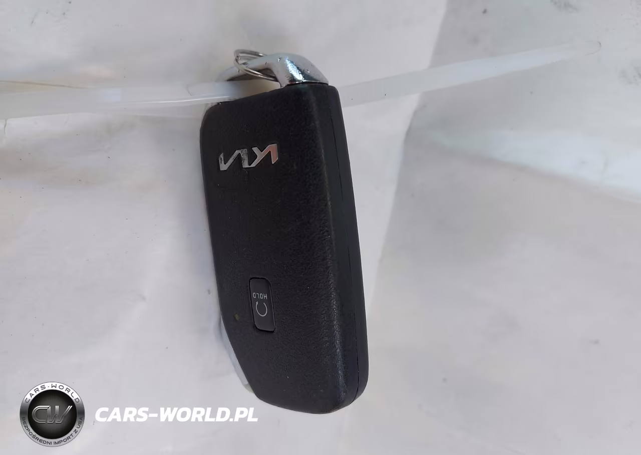 2022 Kia Telluride Ex VIN:5XYP3DHC2NG239711 - 11