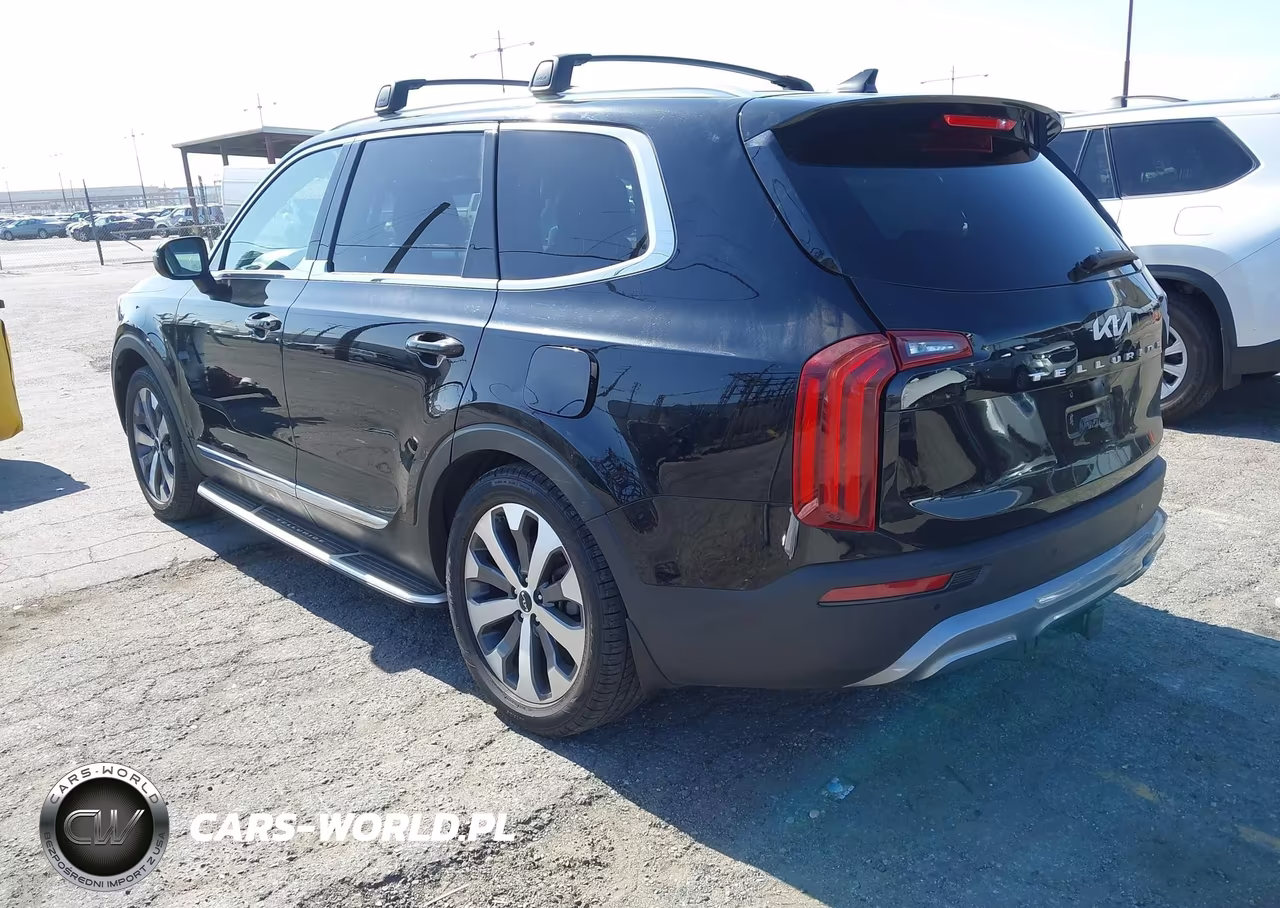 2022 Kia Telluride Ex VIN:5XYP3DHC2NG239711 - 3
