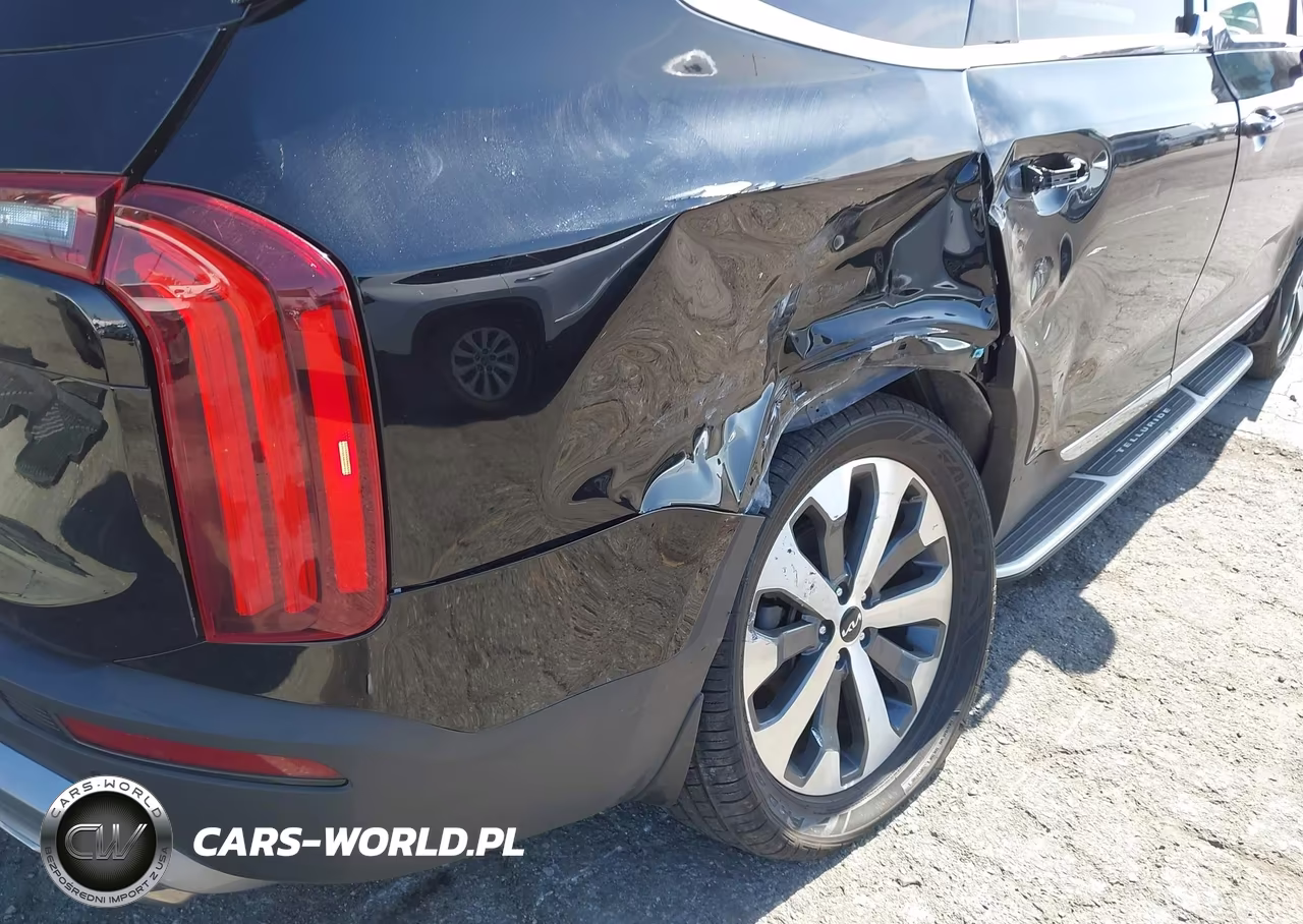 2022 Kia Telluride Ex VIN:5XYP3DHC2NG239711 - 6
