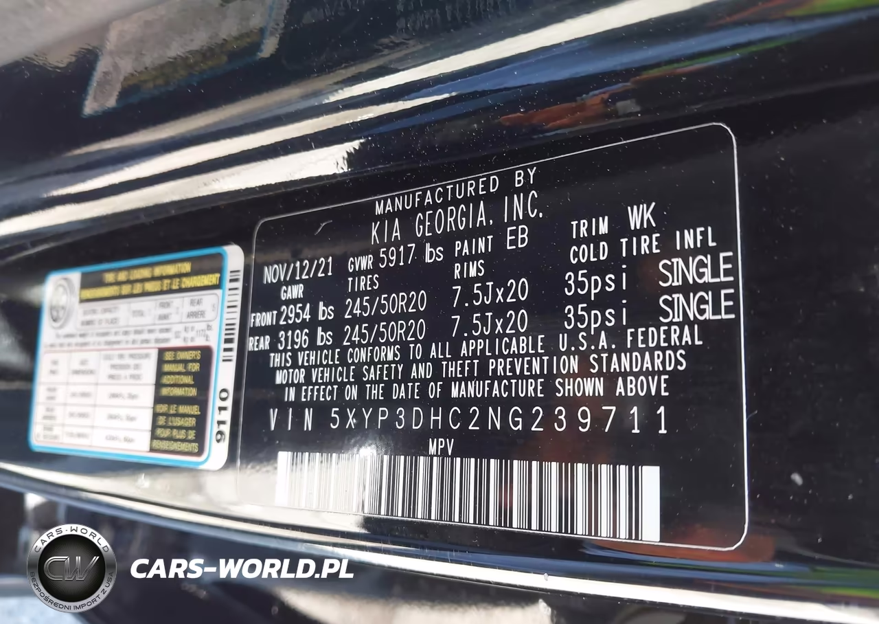 2022 Kia Telluride Ex VIN:5XYP3DHC2NG239711 - 9