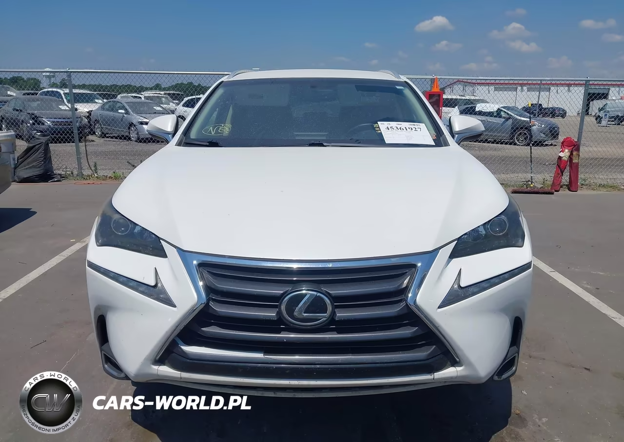 2016 Lexus Nx VIN:JTJYARBZ9G2022462 - 12