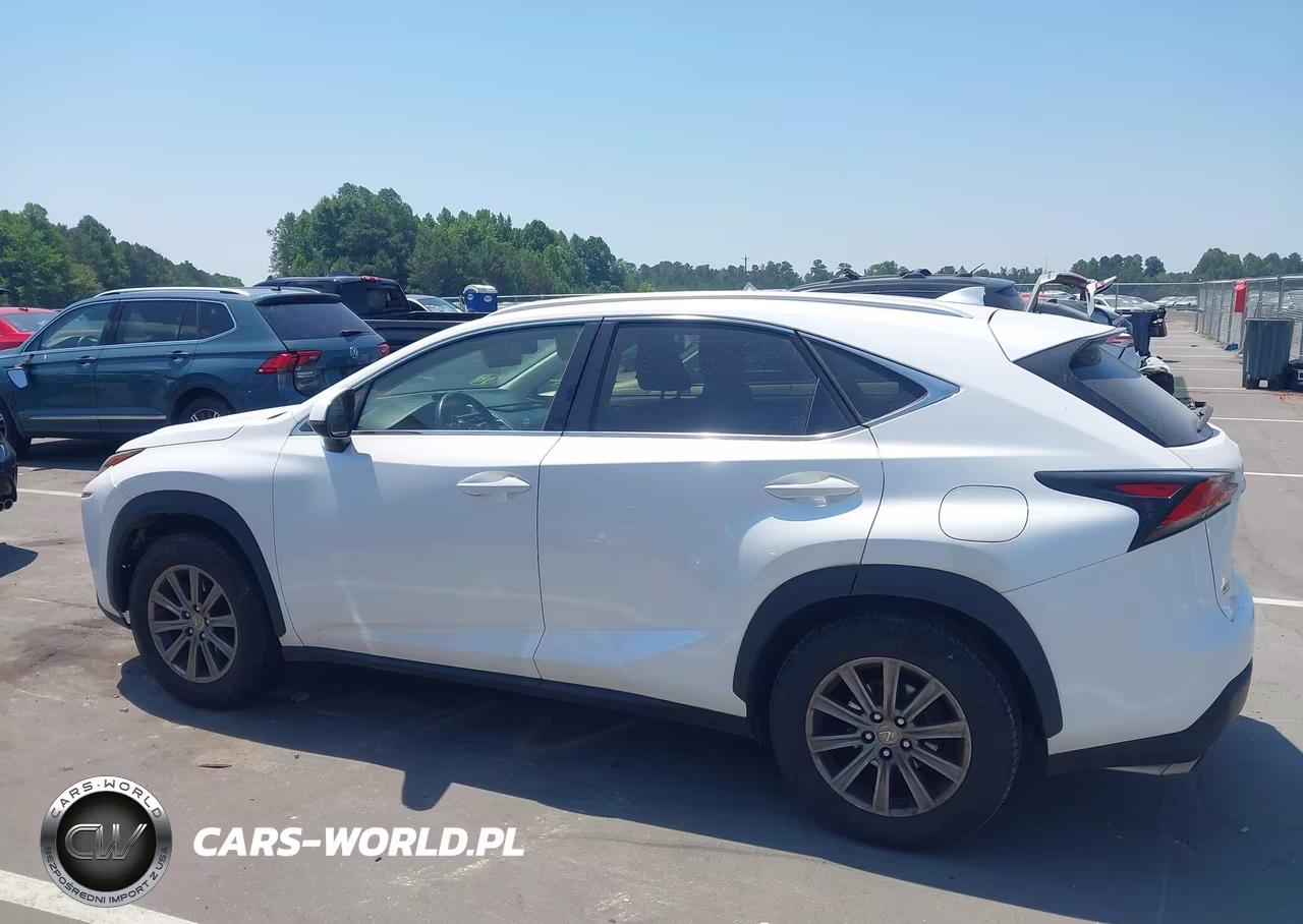 2016 Lexus Nx VIN:JTJYARBZ9G2022462 - 14