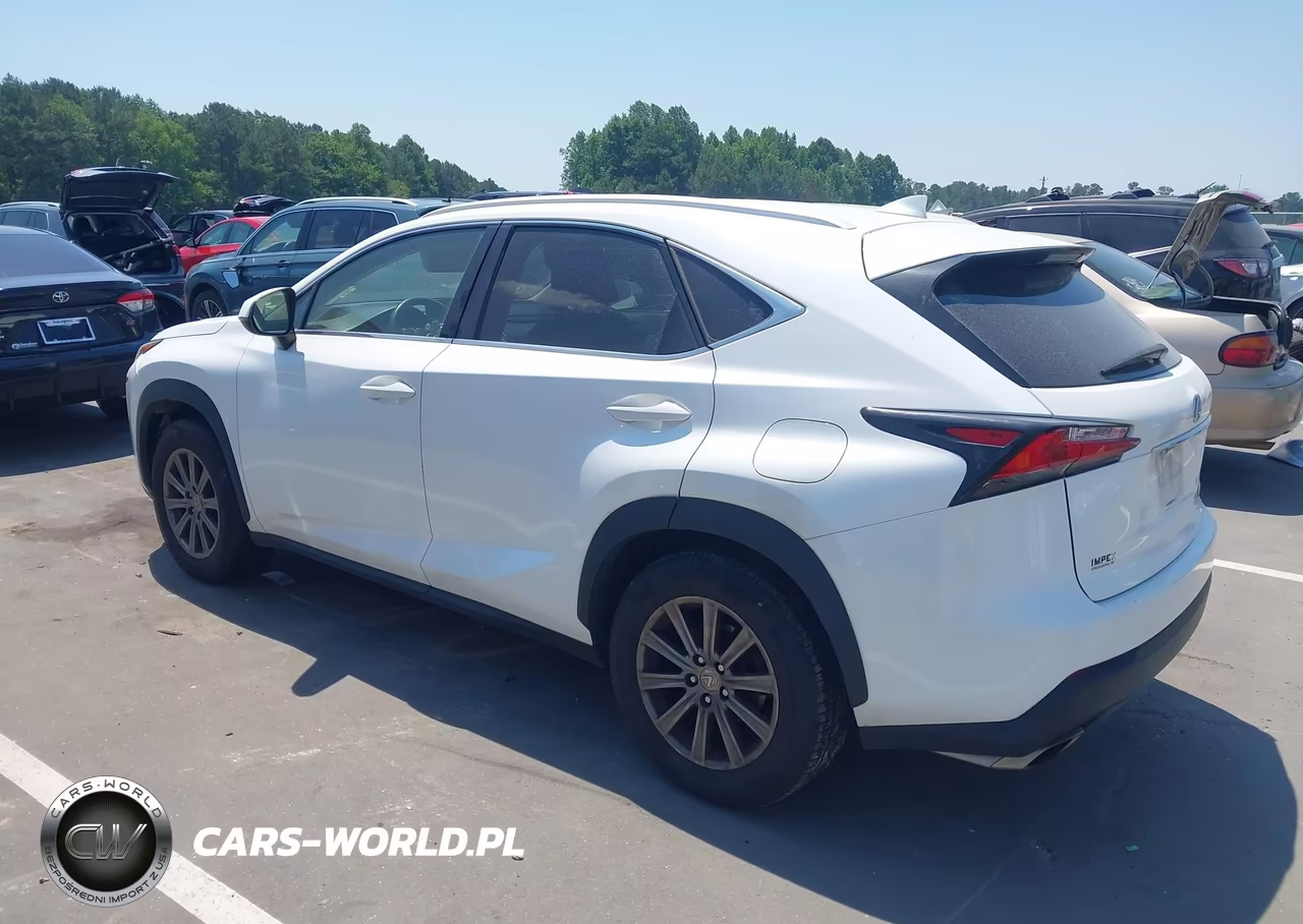 2016 Lexus Nx VIN:JTJYARBZ9G2022462 - 3