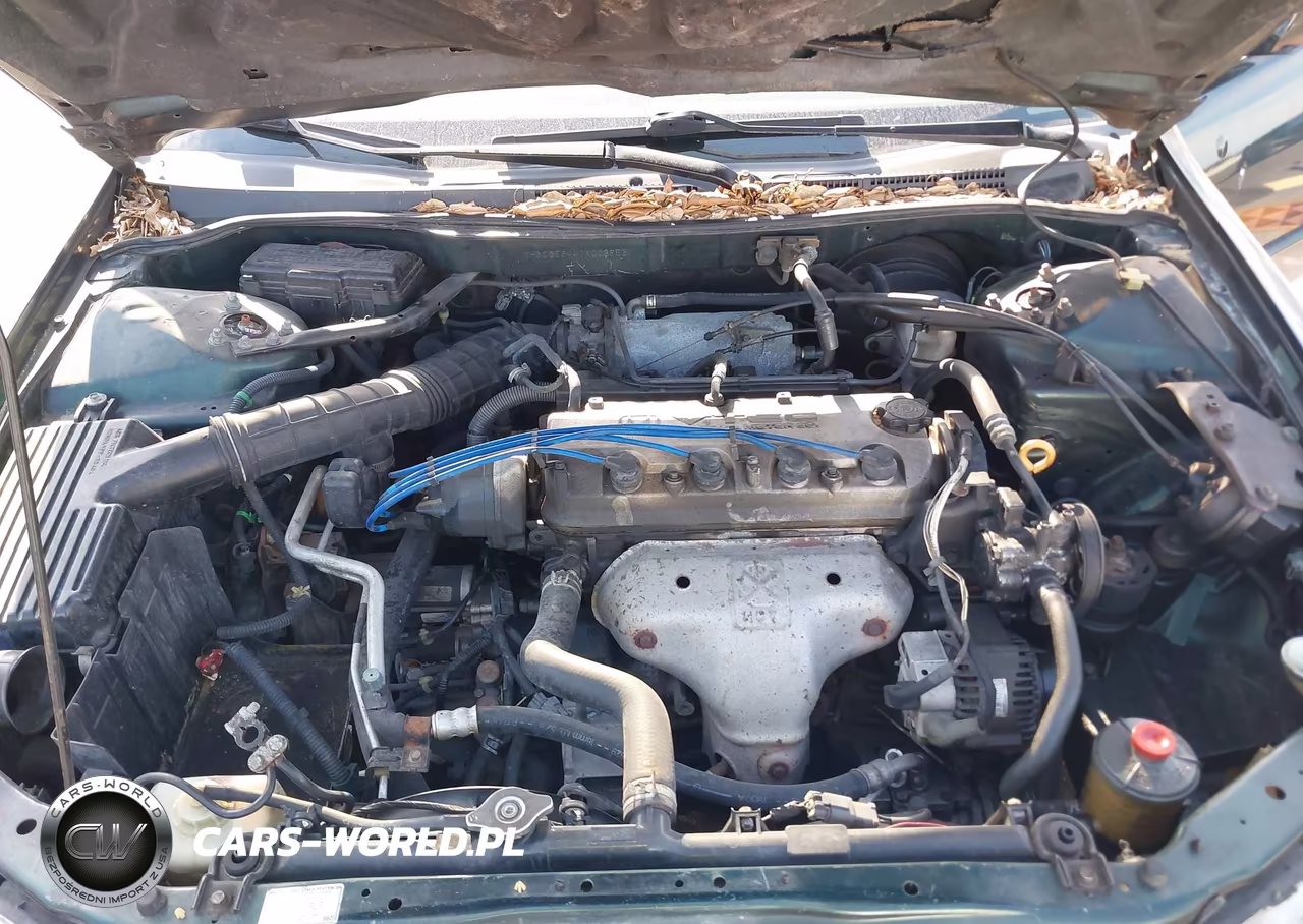 2001 Honda Accord 2.3 Lx VIN:1HGCG56441A003853 - 10