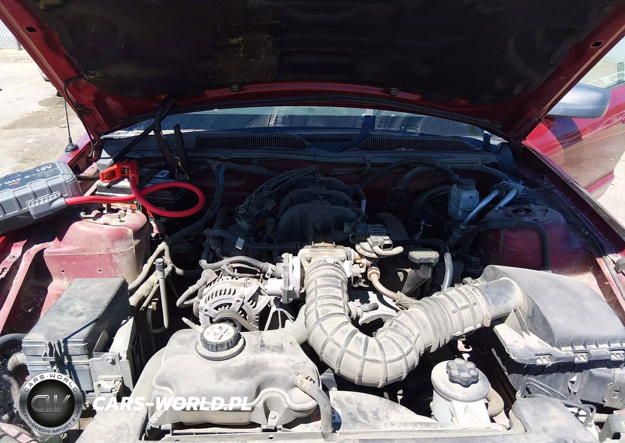 2009 Ford Mustang V6-V6 Premium VIN:1ZVHT80N795101036 - 10