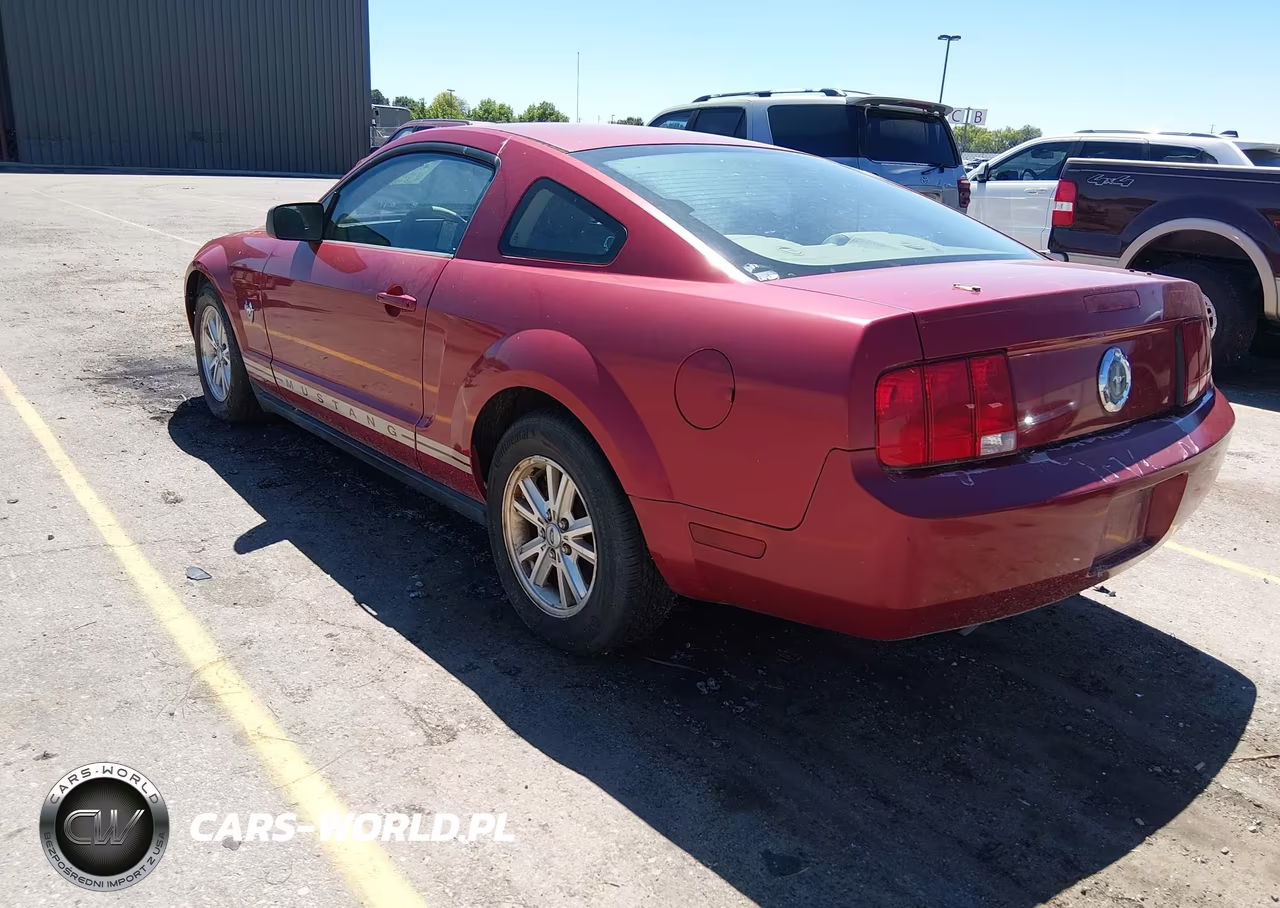 2009 Ford Mustang V6-V6 Premium VIN:1ZVHT80N795101036 - 3