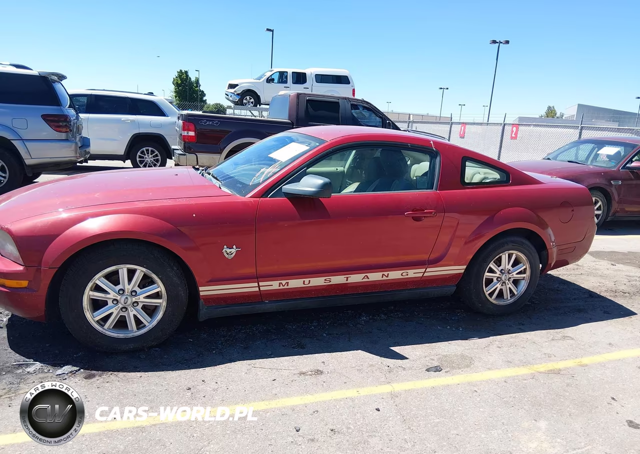2009 Ford Mustang V6-V6 Premium VIN:1ZVHT80N795101036 - 6