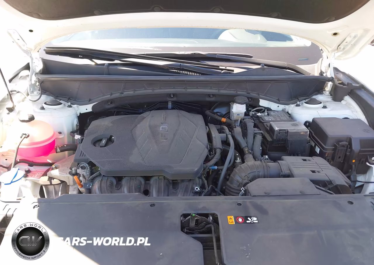 2024 Hyundai Tucson Sel VIN:5NMJBCDE3RH314440 - 10