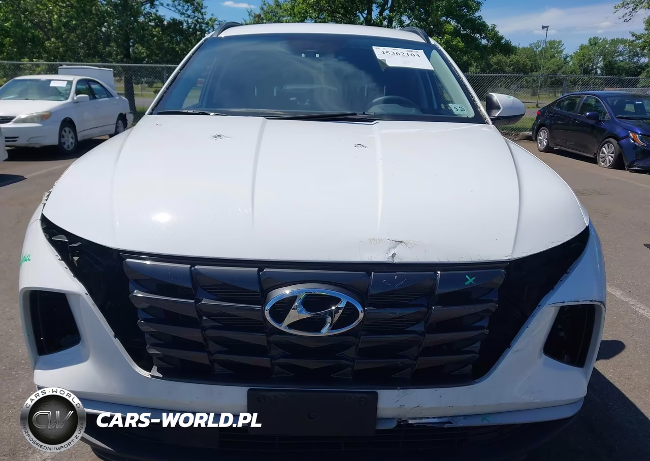 2024 Hyundai Tucson Sel VIN:5NMJBCDE3RH314440 - 12