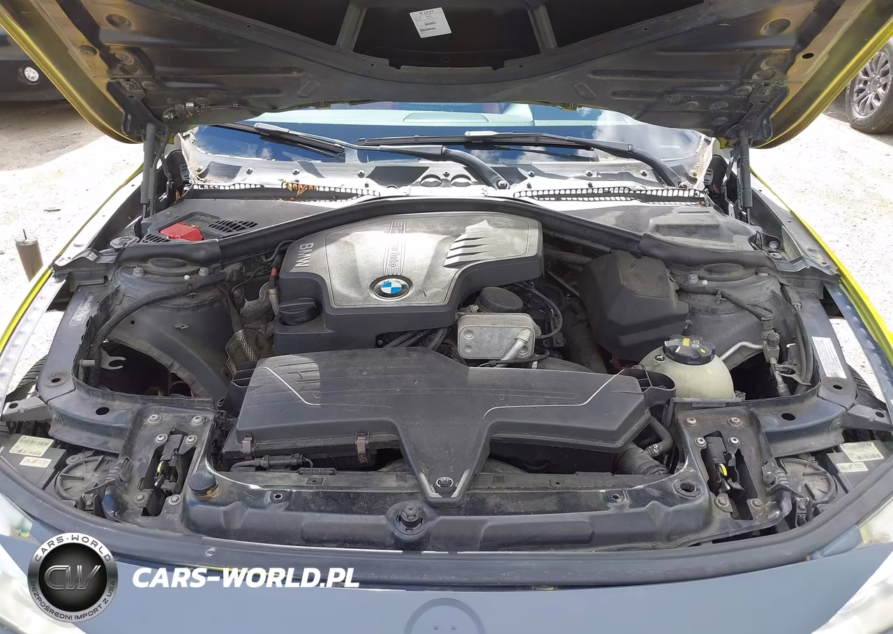 2015 BMW 428I VIN:WBA3N7C59FK222917 - 10