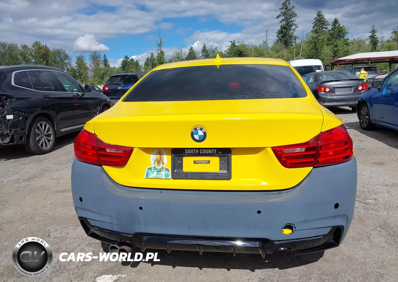 2015 BMW 428I VIN:WBA3N7C59FK222917 - 16