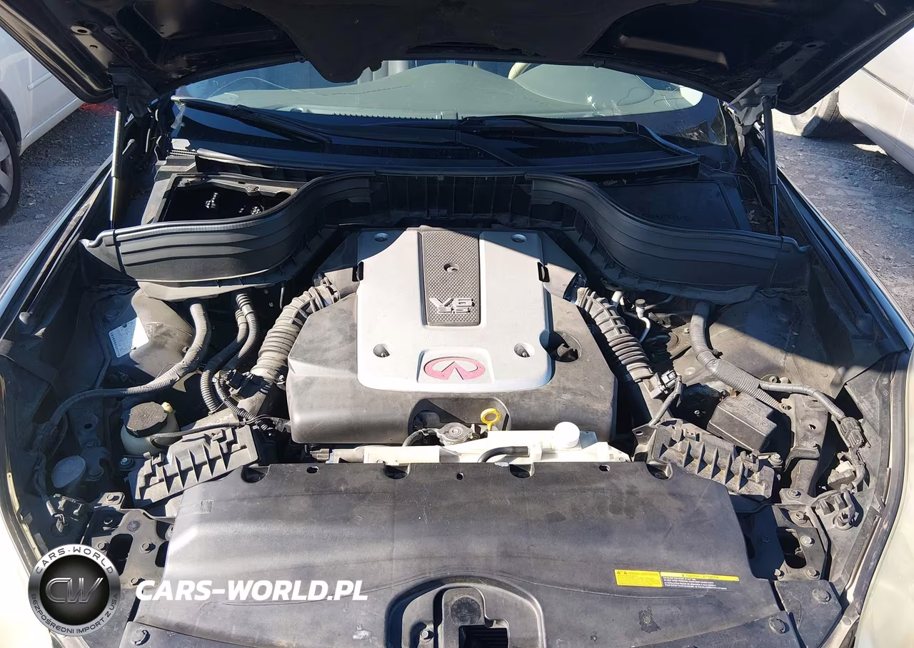 2009 Infiniti Ex35 Journey VIN:JNKAJ09E59M900042 - 10