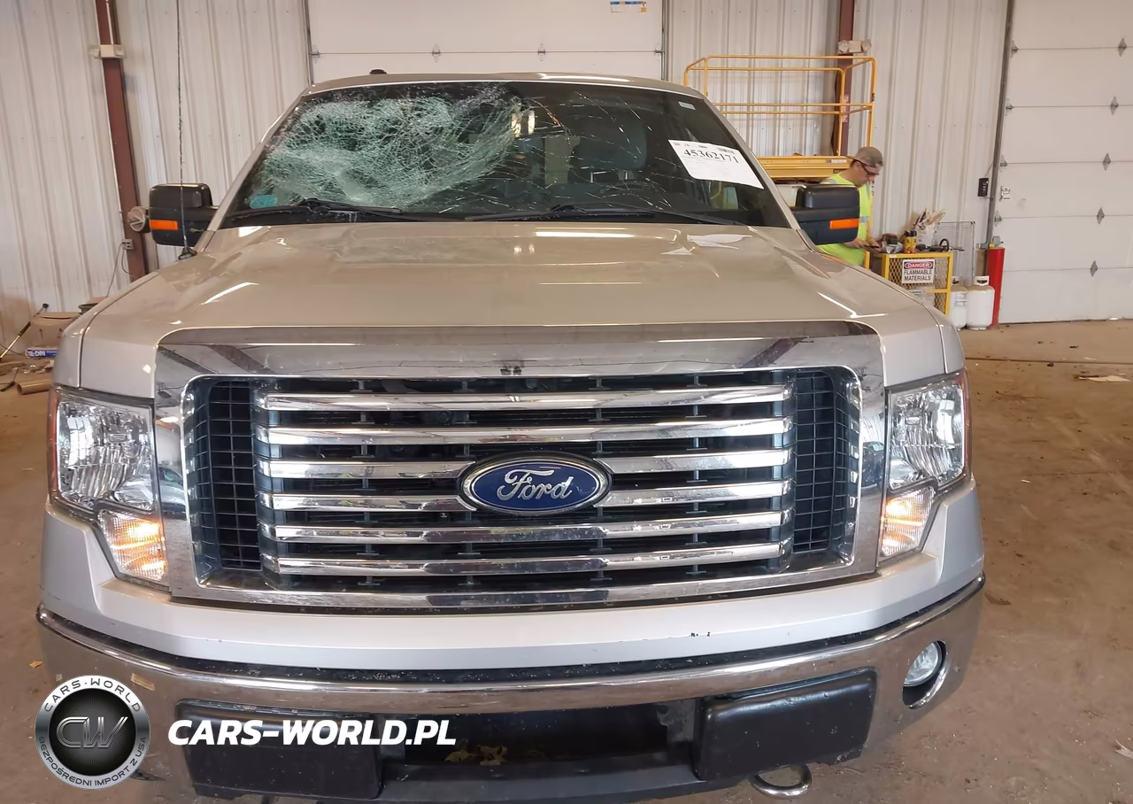 2011 Ford F-150 Xlt VIN:1FTFX1EF1BFA19035 - 12