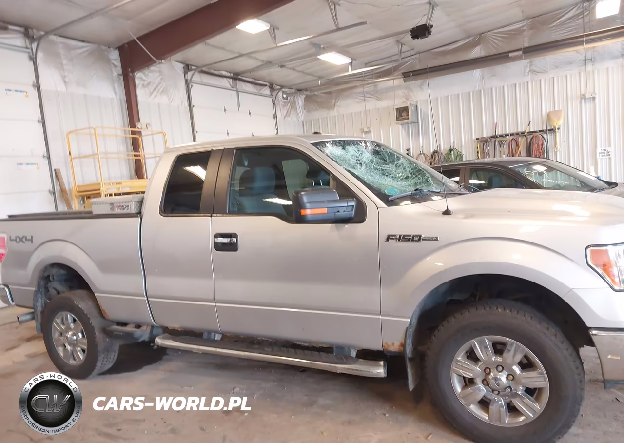 2011 Ford F-150 Xlt VIN:1FTFX1EF1BFA19035 - 13