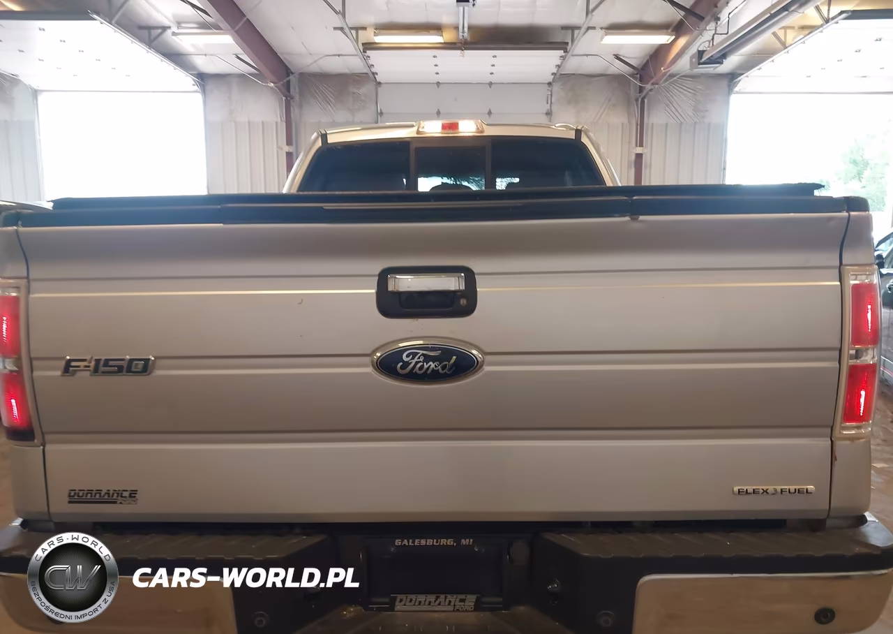 2011 Ford F-150 Xlt VIN:1FTFX1EF1BFA19035 - 16