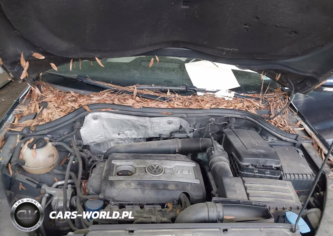 2011 Volkswagen Tiguan Se VIN:WVGBV7AX2BW534241 - 10