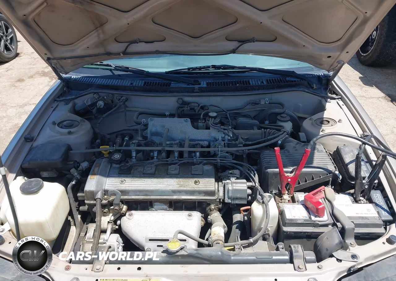1995 Toyota Corolla Le-Dx VIN:1NXAE09B8SZ333175 - 10