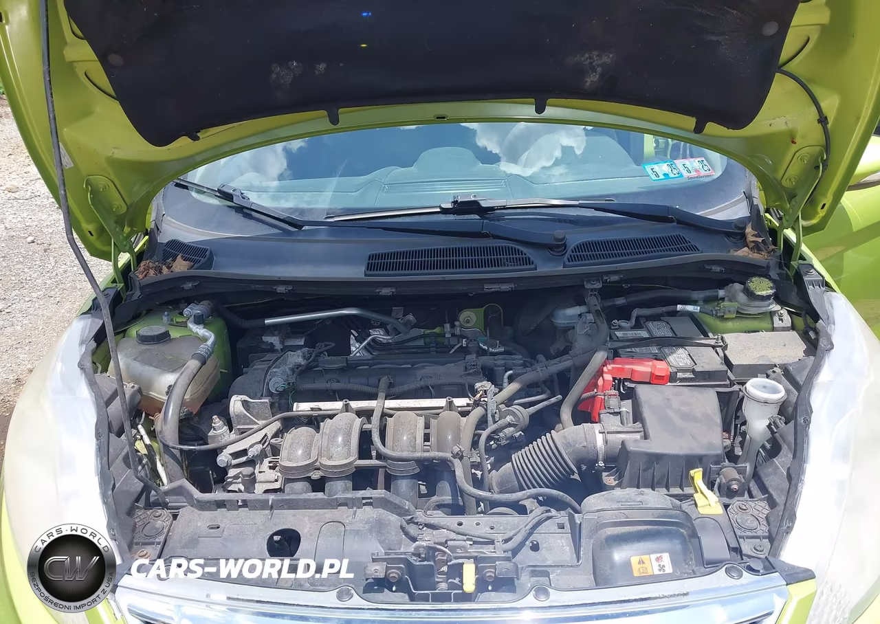 2013 Ford Fiesta Se VIN:3FADP4BJ6DM116595 - 10