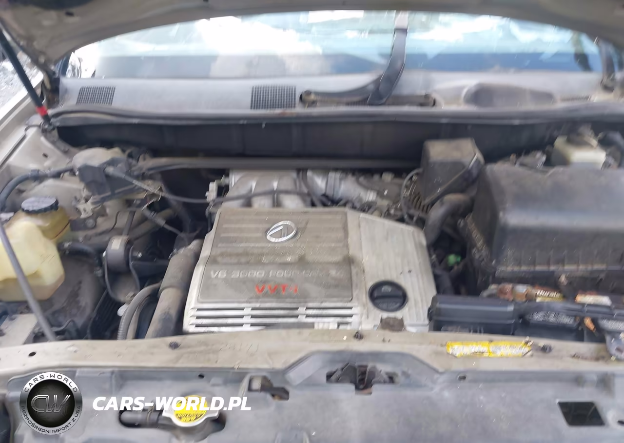 2000 Lexus Rx 300 VIN:JT6GF10U0Y0080389 - 10
