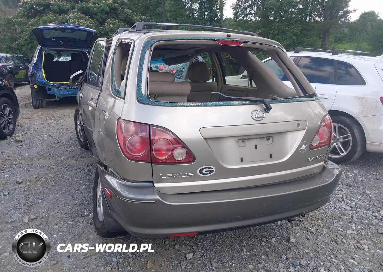 2000 Lexus Rx 300 VIN:JT6GF10U0Y0080389 - 3